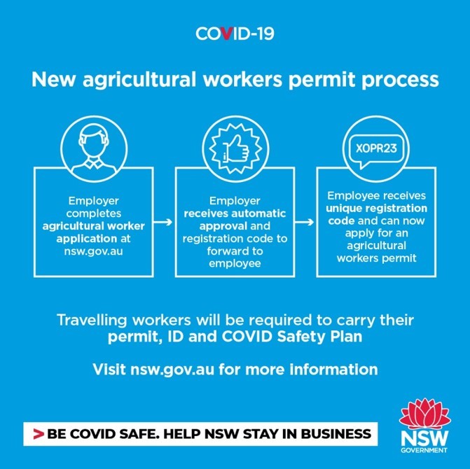 Covid 19 Managing Workers Berries Australia [ 670 x 671 Pixel ]