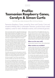 Tasmanian Raspberry Canes ABJ-Spring-2023-RUB-Profile Tasmanian Raspberry Canes – Berries Australia