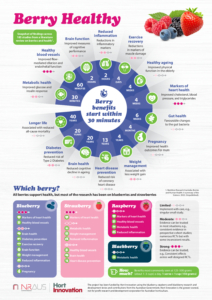 MT21000_Berry_Science_Infographic_20221209 – Berries Australia