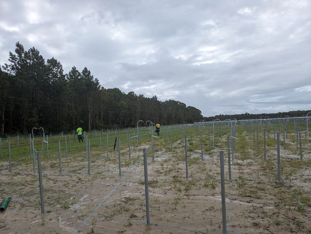 Tabletop installation QLD Berries Caboolture Berries Australia