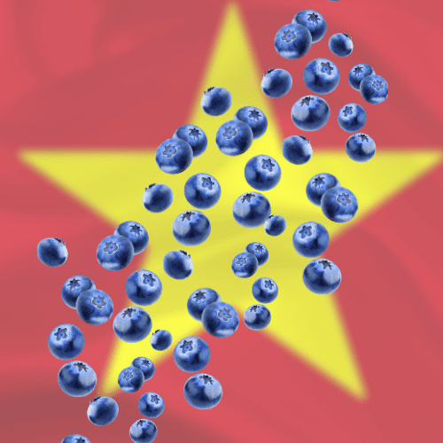 FI-NEWS-Vietnam-BB (500 x 500 px)