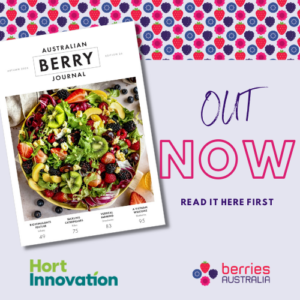 FI-ABJ-AUT-26 (500x500px)