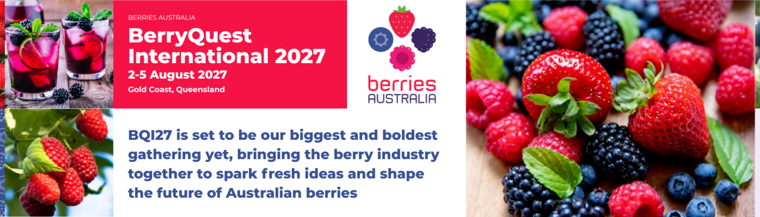 BQI27-berries-Home Page